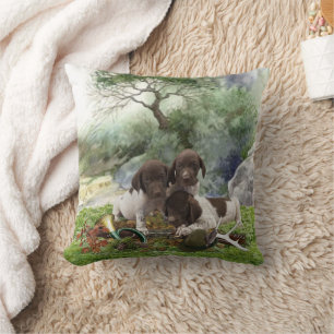 German Shorthaired Pointer cute  puppies      Cushion