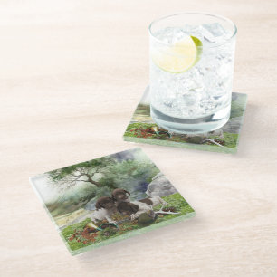 German Shorthaired Pointer cute puppies Glass Coaster