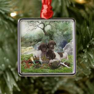 German Shorthaired Pointer cute  puppies       Metal Ornament