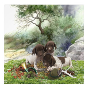 German Shorthaired Pointer cute puppies Photo Print