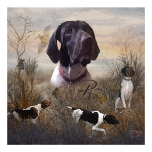 German Shorthaired Pointer, Deutsch Kurzhaar Tapes Photo Print