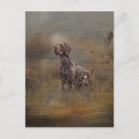 German Shorthaired Pointer ,Deutsch Kurzhaar Tapes