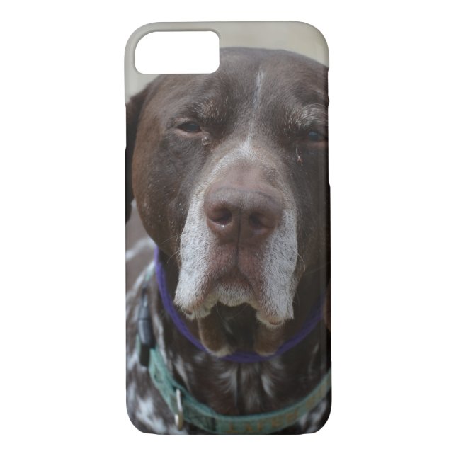 German Shorthaired Pointer Dog Case-Mate iPhone Case (Back)