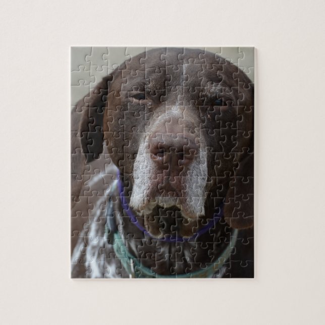 German Shorthaired Pointer Dog Jigsaw Puzzle (Vertical)