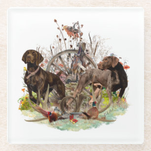 German Shorthaired Pointer      Glass Coaster