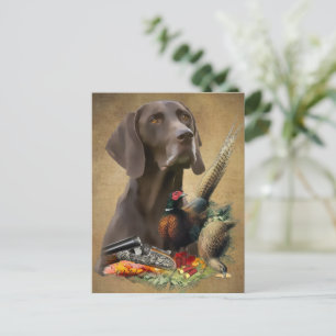German Shorthaired Pointer GSP   Postcard