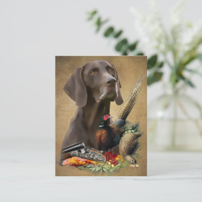 German Shorthaired Pointer GSP   Postcard (Standing Front)