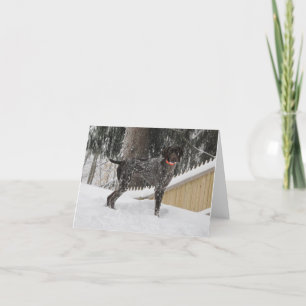 German Shorthaired Pointer in Snow Holiday Card