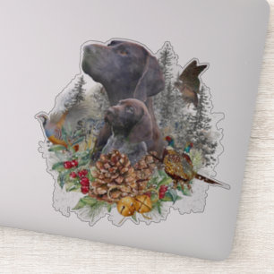 German Shorthaired Pointer in winter 