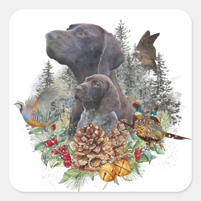 German Shorthaired Pointer in winter   Square Sticker (Front)