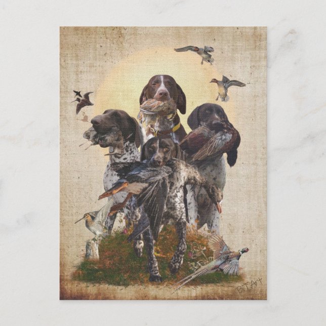 German Shorthaired Pointer     Invitation Postcard (Front)