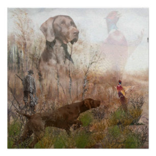 German Shorthaired Pointer , kurzhaar Tapestry Ca Poster