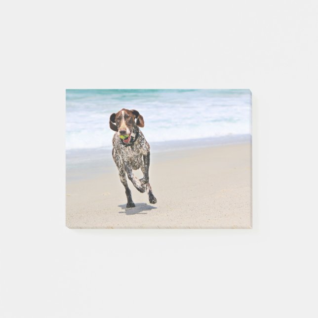 German Shorthaired Pointer - Luke - Riley Post-it Notes (Front)