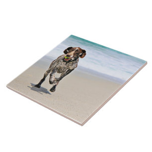 German Shorthaired Pointer - Luke - Riley Tile