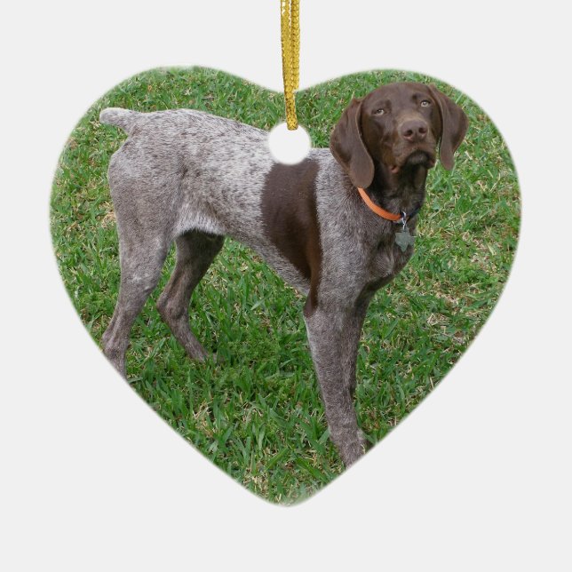 German Shorthaired Pointer Ornament (Front)