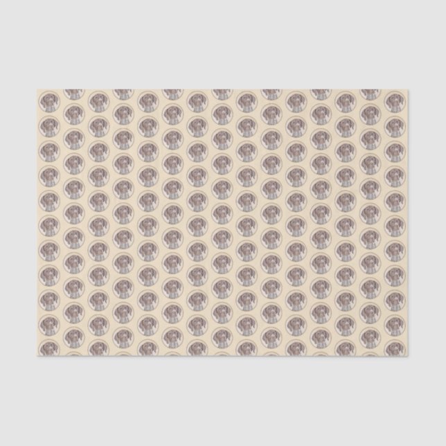 German Shorthaired Pointer Painting - Original Art Tissue Paper (Front)