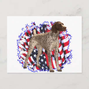 German Shorthaired Pointer Patriot Postcard