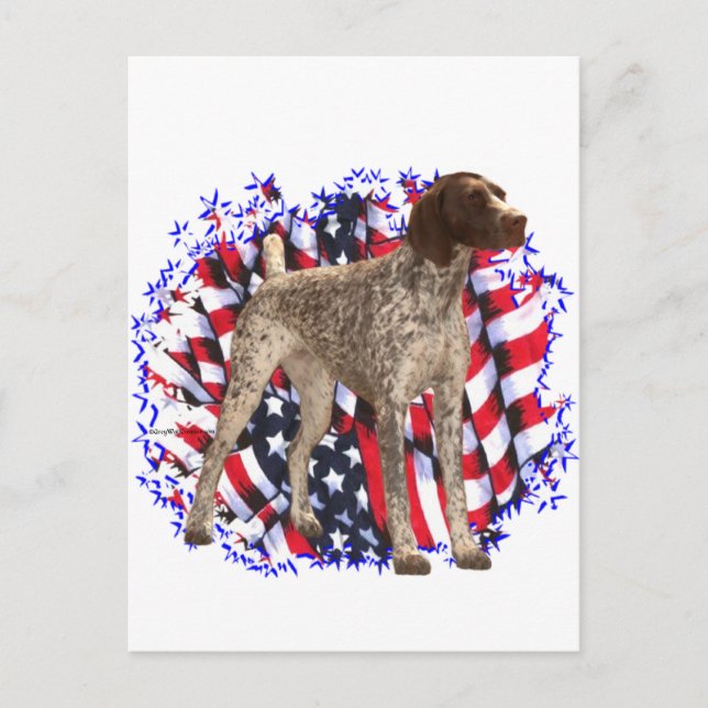 German Shorthaired Pointer Patriot Postcard (Front)