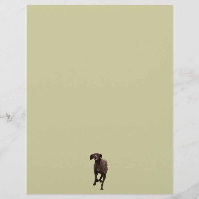 German Shorthaired Pointer Pet-lover (Front)