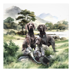 German Shorthaired Pointer Photo Print