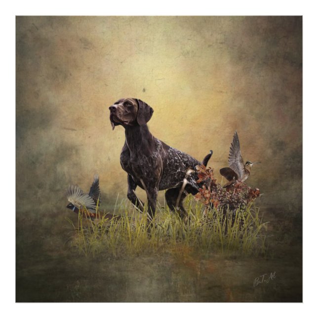 German Shorthaired Pointer    Photo Print (Front)