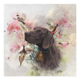 German shorthaired pointer  photo print