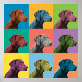 German Shorthaired Pointer Pop-Art Poster