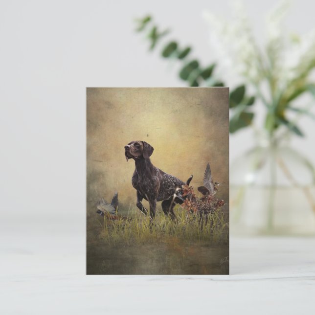 German Shorthaired Pointer    Postcard (Standing Front)