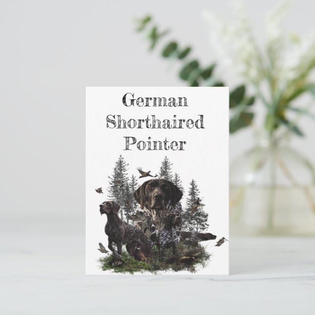 German Shorthaired Pointer     Postcard (Standing Front)