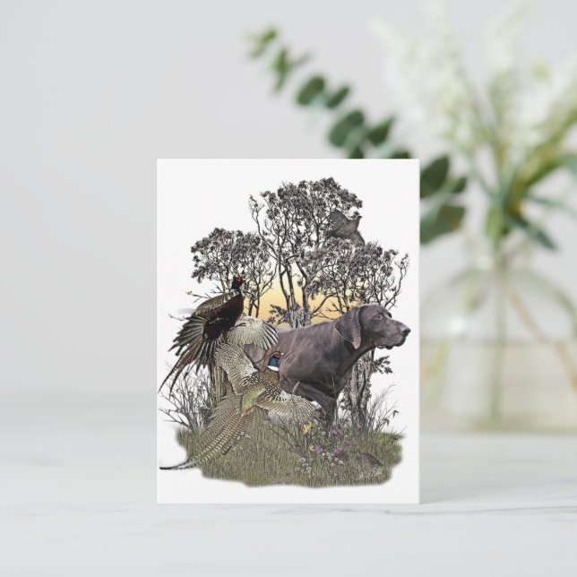 German Shorthaired Pointer       Postcard (Standing Front)