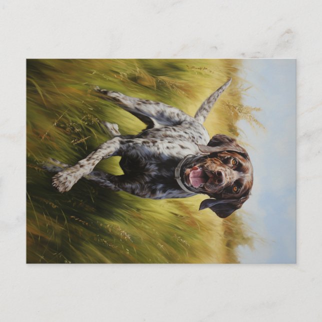 German Shorthaired Pointer Postcard (Front)