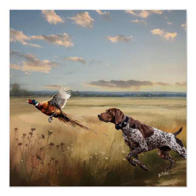 German Shorthaired Pointer  Poster (Front)