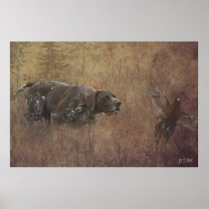 German Shorthaired Pointer Poster