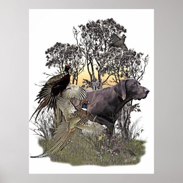 German Shorthaired Pointer       Poster (Front)