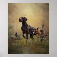 German Shorthaired Pointer  