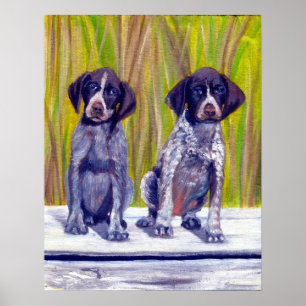 German Shorthaired Pointer Puppies Dog Portrait Poster