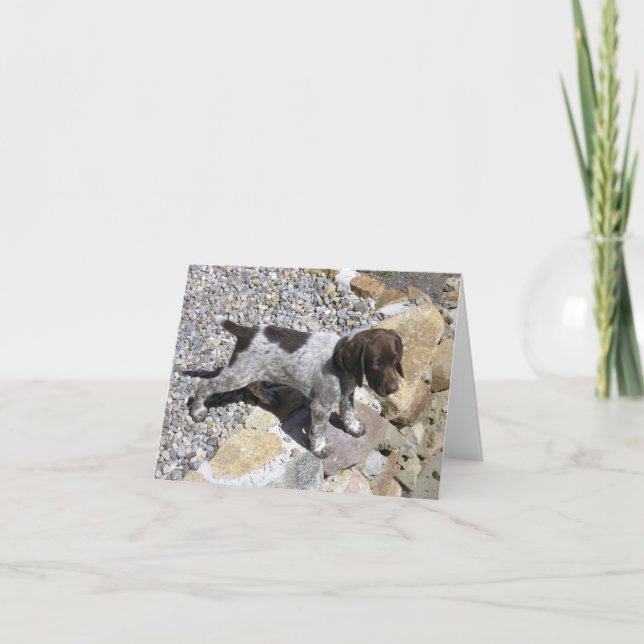 German Shorthaired Pointer Puppy Card (Front)