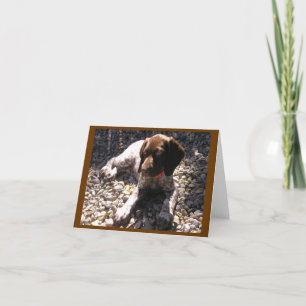German Shorthaired Pointer Puppy Chillin' Card