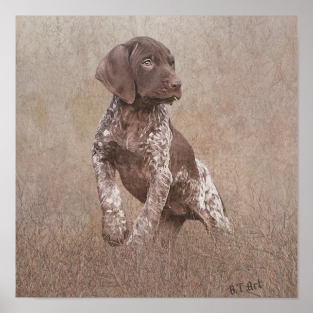 German shorthaired pointer puppy poster (Front)