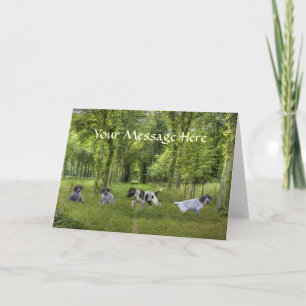 German Shorthaired Pointer Pups Greeting Card