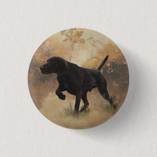 German Shorthaired Pointer ready to hunt Gift Box  3 Cm Round Badge