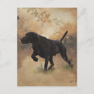 German Shorthaired Pointer ready to hunt Gift Box Postcard