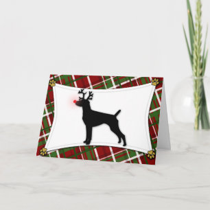German Shorthaired Pointer Reindeer Christmas Card