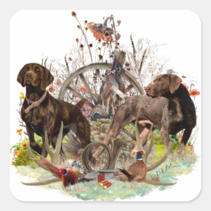 German Shorthaired Pointer    Square Sticker