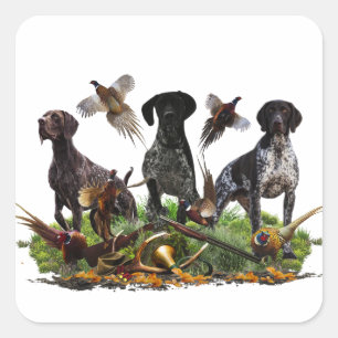 German Shorthaired Pointer Square Sticker