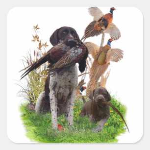 German Shorthaired Pointer Sticker