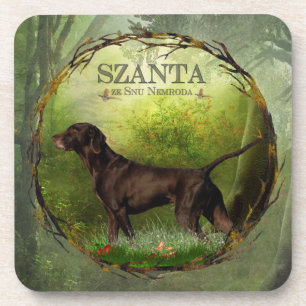 German Shorthaired Pointer ,,SZANTA from Nemrod's  Coaster