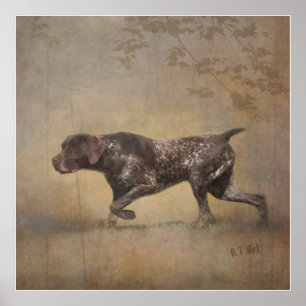 German Shorthaired Pointer Tapestry Poster Acrylic