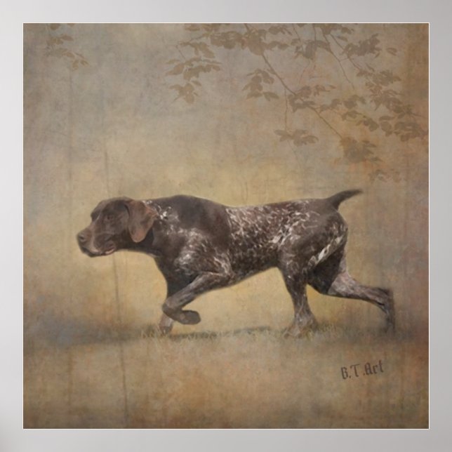German Shorthaired Pointer Tapestry Poster Acrylic (Front)