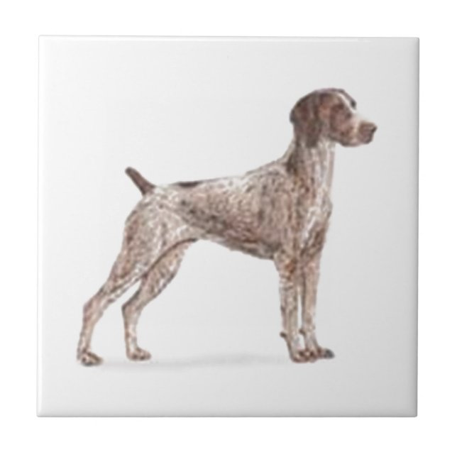 German Shorthaired Pointer Tile (Front)